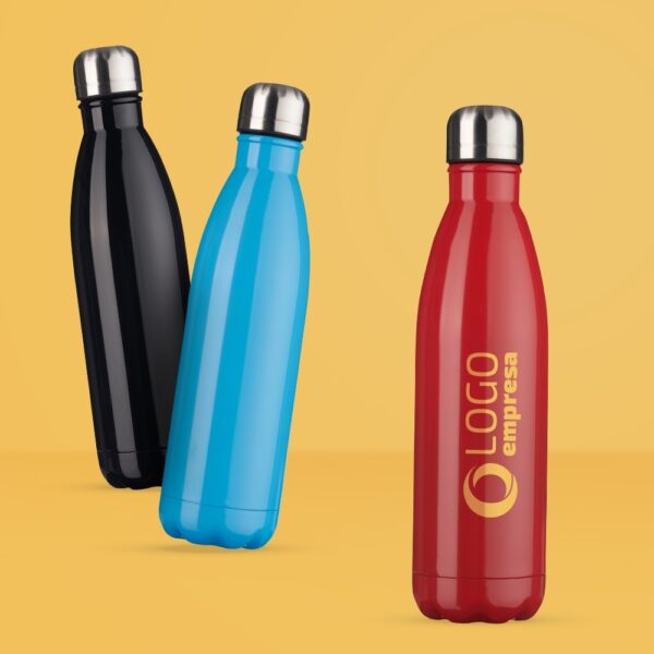 Garrafa Aço Inox Brilho 750ml
